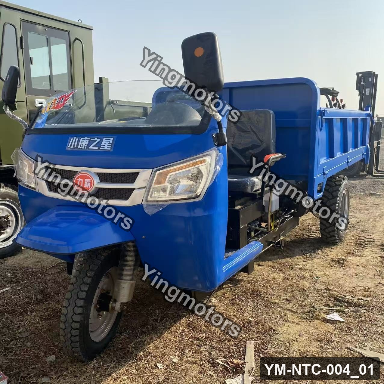 Liba Xiaokang Star Cargo Tricycle